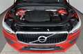 Volvo XC60 Momentum AWD Leder,Navi,LED,Panorama,4xSH Roşu - thumbnail 21