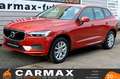 Volvo XC60 Momentum AWD Leder,Navi,LED,Panorama,4xSH Roşu - thumbnail 13