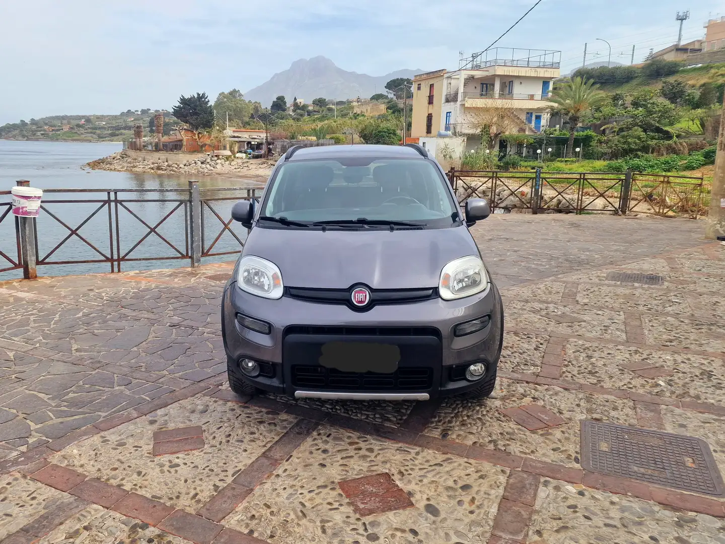 Fiat Panda Panda 1.3 mjt 16v 4x4 s Grigio - 2