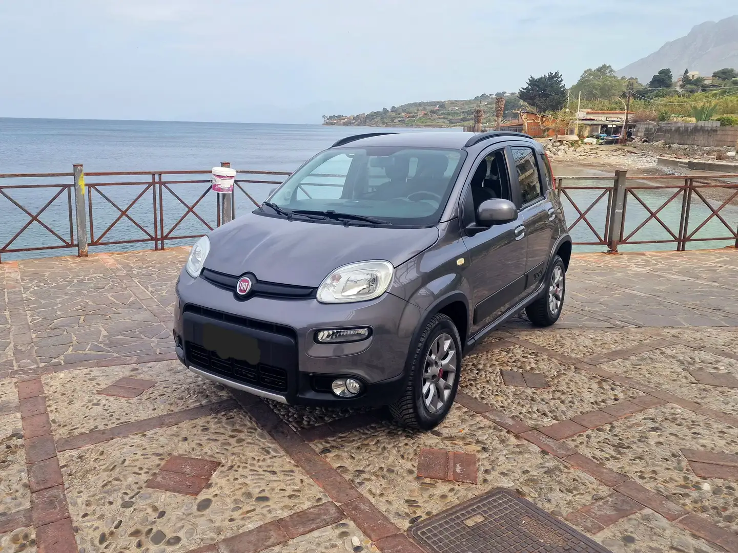 Fiat Panda Panda 1.3 mjt 16v 4x4 s Grigio - 1