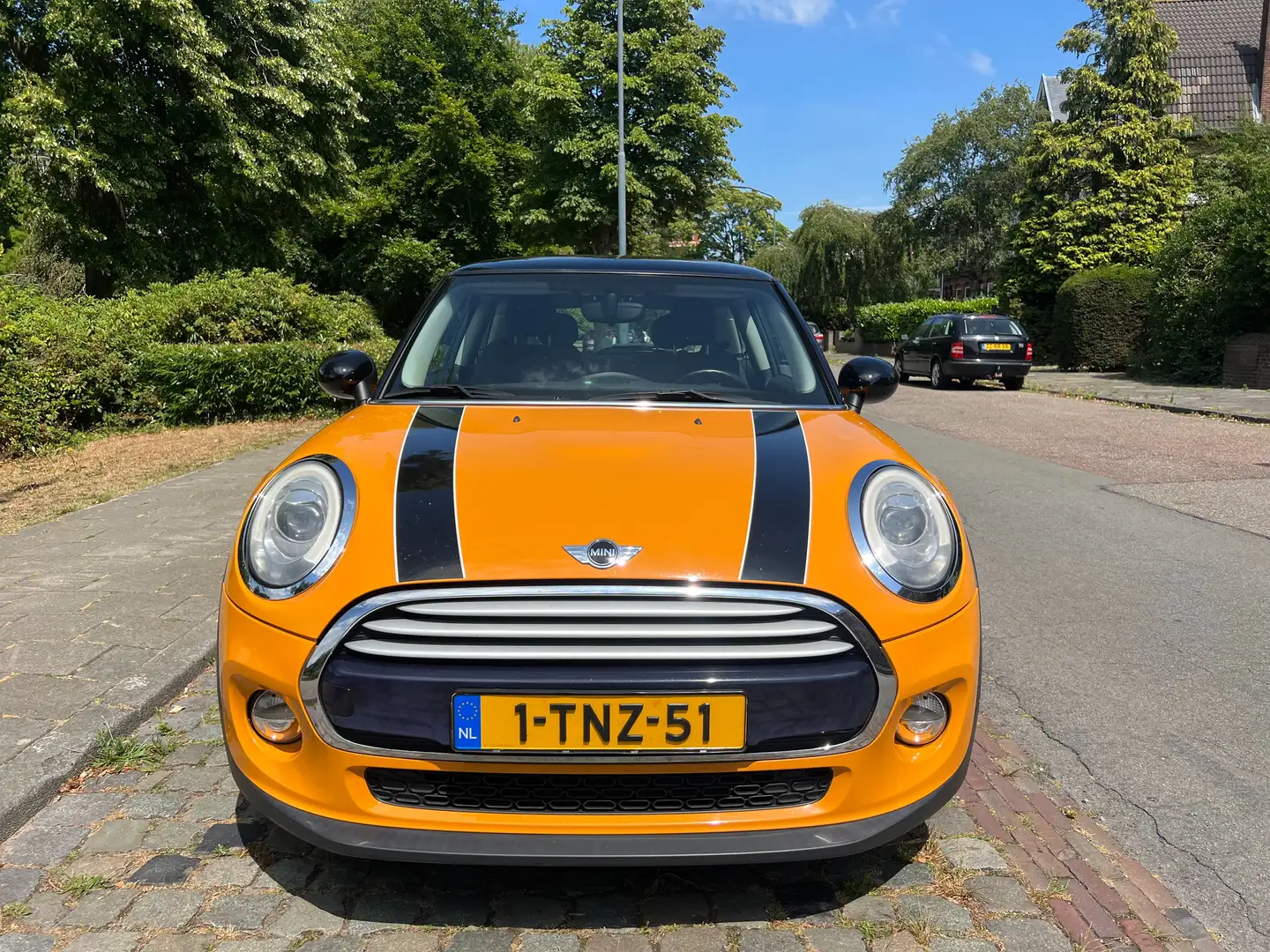 MINI Cooper Cooper 1.5 Cooper Salt Orange - 2