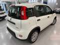 Fiat Panda 1.0 FireFly S&S Hybrid Bianco - thumbnail 6