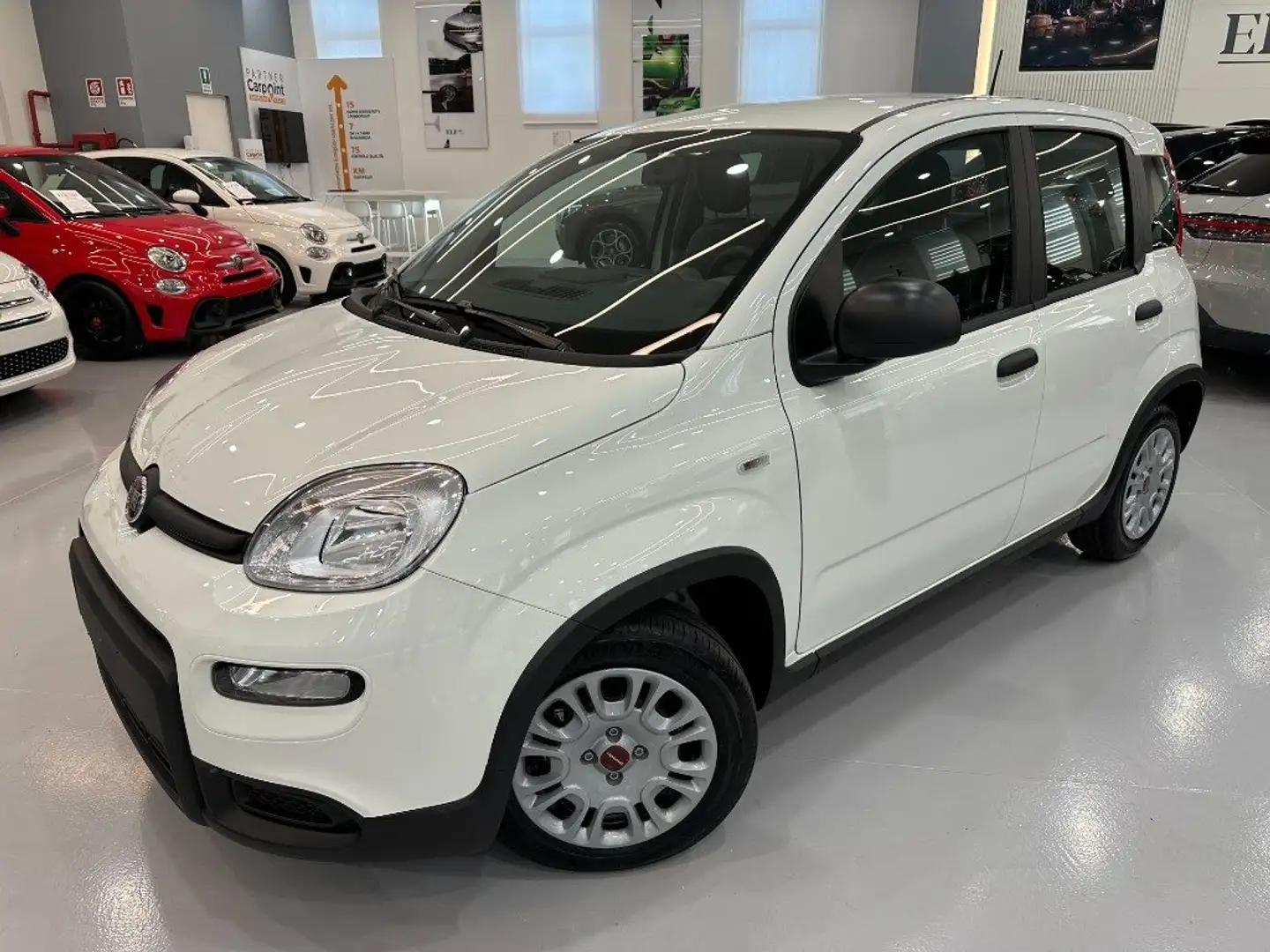 Fiat Panda 1.0 FireFly S&S Hybrid Weiß - 1