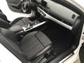 Audi A4 Avant 2.0 TDI Business Sport 190cv - thumbnail 10