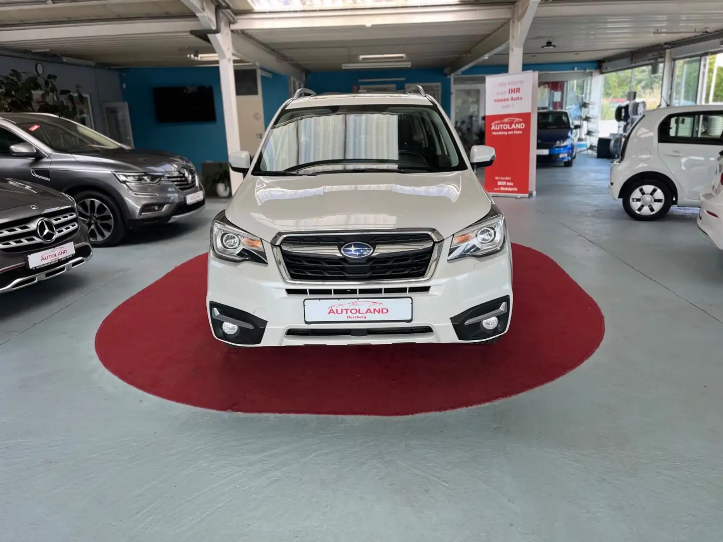 Subaru Forester Exclusive 4x4 PANO SHZ TEMP Weiß - 2