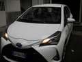 Toyota Yaris Yaris 5p 1.5h Active Plus Blanc - thumbnail 1