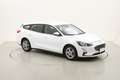 Ford Focus SW Business 1.5 Diesel 120CV Weiß - thumbnail 7