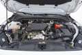 Ford Focus SW Business 1.5 Diesel 120CV Weiß - thumbnail 13