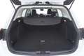 Ford Focus SW Business 1.5 Diesel 120CV Weiß - thumbnail 14