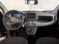 Fiat Panda 1.0 HYBRID 70CV Nero - thumbnail 7