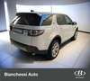 Land Rover Discovery Sport 2.0 TD4 150 CV Pure Bianco - thumbnail 4