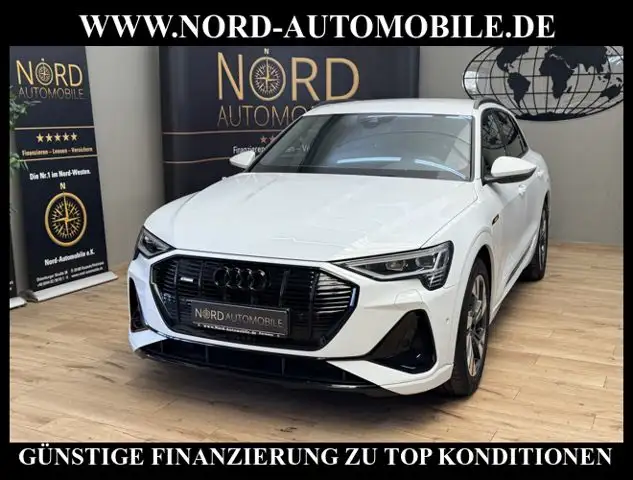 Audi e-tron 50 QU.S-Line Teilleder/Kamera/LED/Navi/20 S-Line