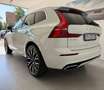 Volvo XC60 XC60 B4 (d) AWD Geartronic Business Plus Bianco - thumbnail 8