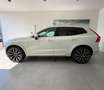 Volvo XC60 XC60 B4 (d) AWD Geartronic Business Plus Bianco - thumbnail 7