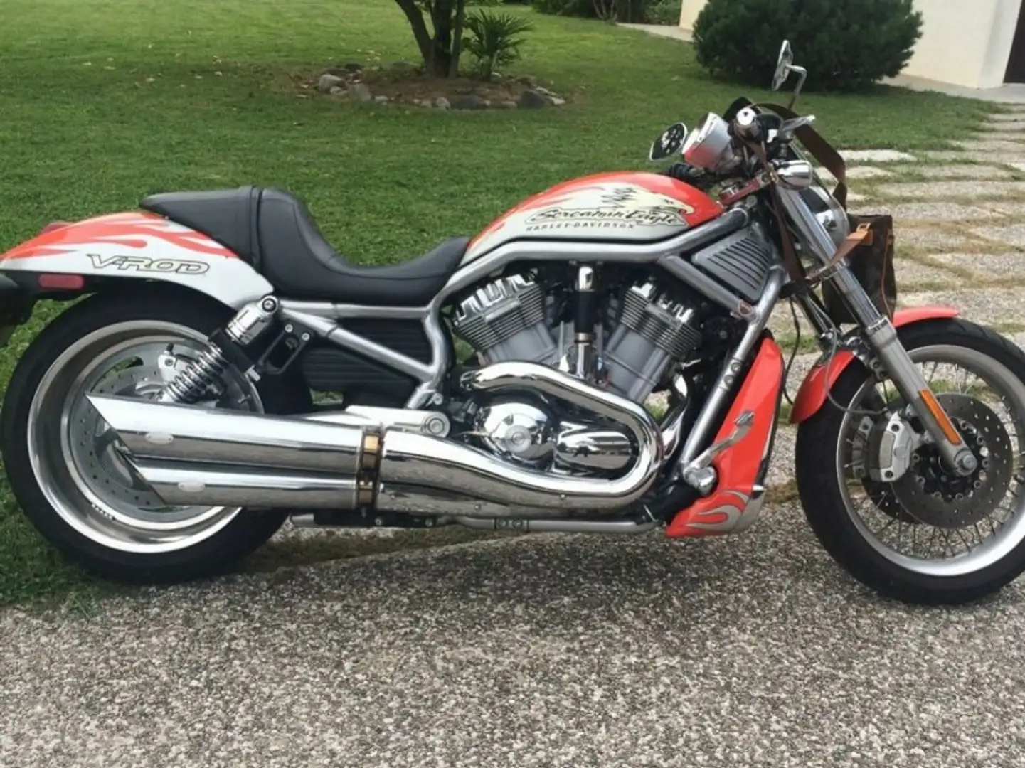 Harley-Davidson V-Rod Scremin Eagle Silver - 1
