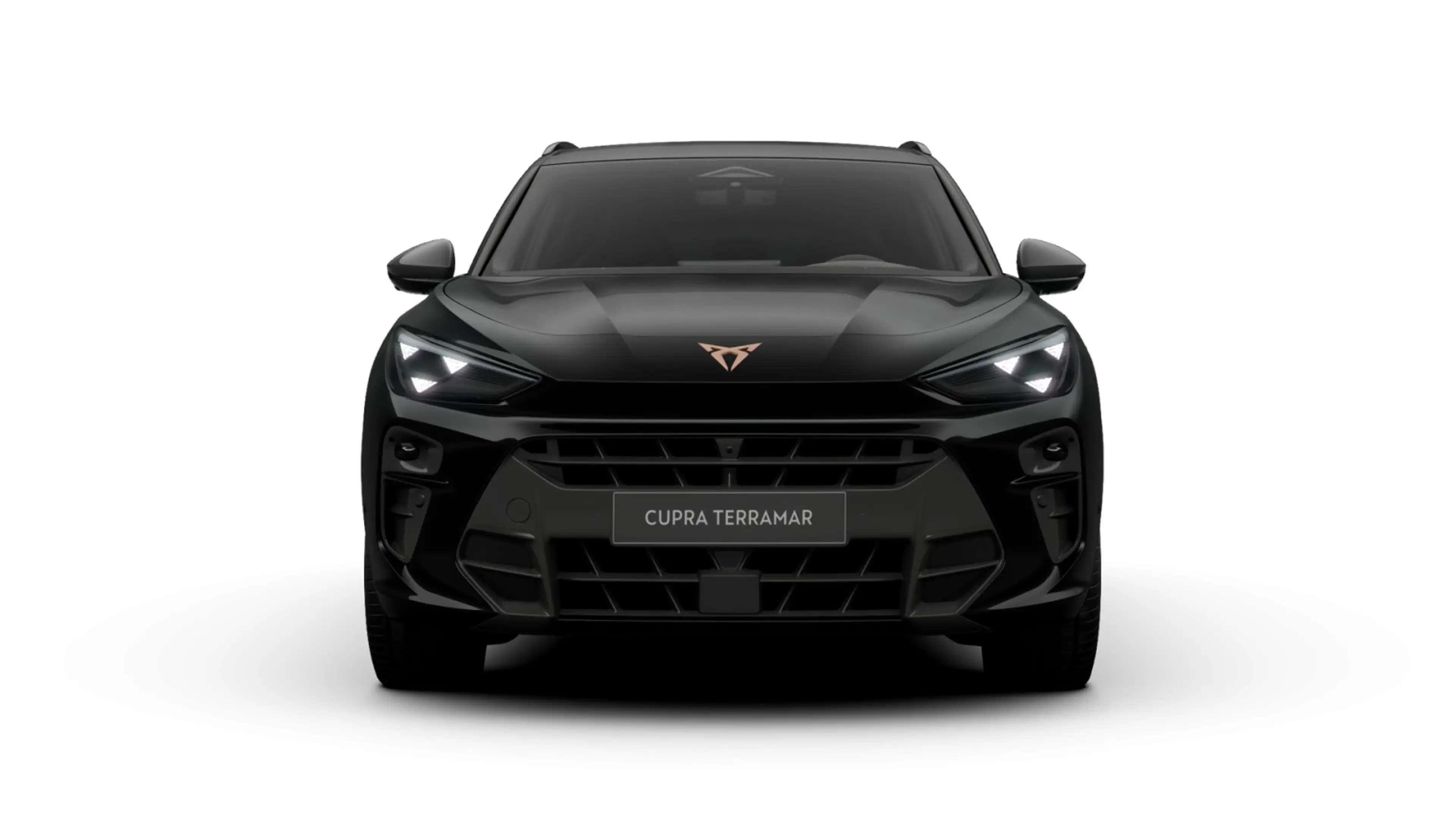 CUPRA Terramar 1.5 eTSI DSG, AHK, HEAD-UP — photo 2
