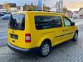 Volkswagen Caddy Maxi Sitzhz 7.Sitze PDC 2xSchiebetüren Giallo - thumbnail 3