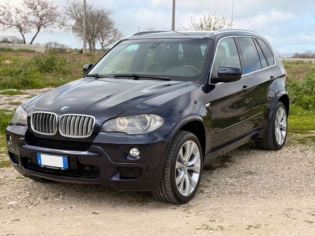 BMW X5 X5 3.0d 235CV