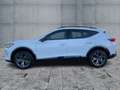 CUPRA Formentor 2.0 TDI DSG LED+NAV+APP+ACC+SHZ+RFK+VC Blanc - thumbnail 4