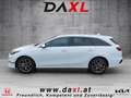 Kia Ceed SW / cee'd SW ceed SW 1,0 T-GDI Silber Gratis Winterreifen Weiß - thumbnail 3
