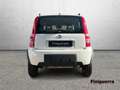 Fiat Panda II 2003 1.3 mjt 16v Climbing 4x4 75cv Bianco - thumbnail 3