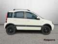 Fiat Panda II 2003 1.3 mjt 16v Climbing 4x4 75cv Bianco - thumbnail 5