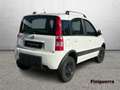 Fiat Panda II 2003 1.3 mjt 16v Climbing 4x4 75cv Bianco - thumbnail 4