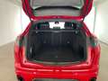 Alfa Romeo Stelvio 2.2 TD 210 CV Tributo Italiano AT8 Q4 Rosso - thumbnail 11