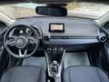 Mazda 2 1.5 M-Hybrid Evolve 90 Cv Rot - thumbnail 9