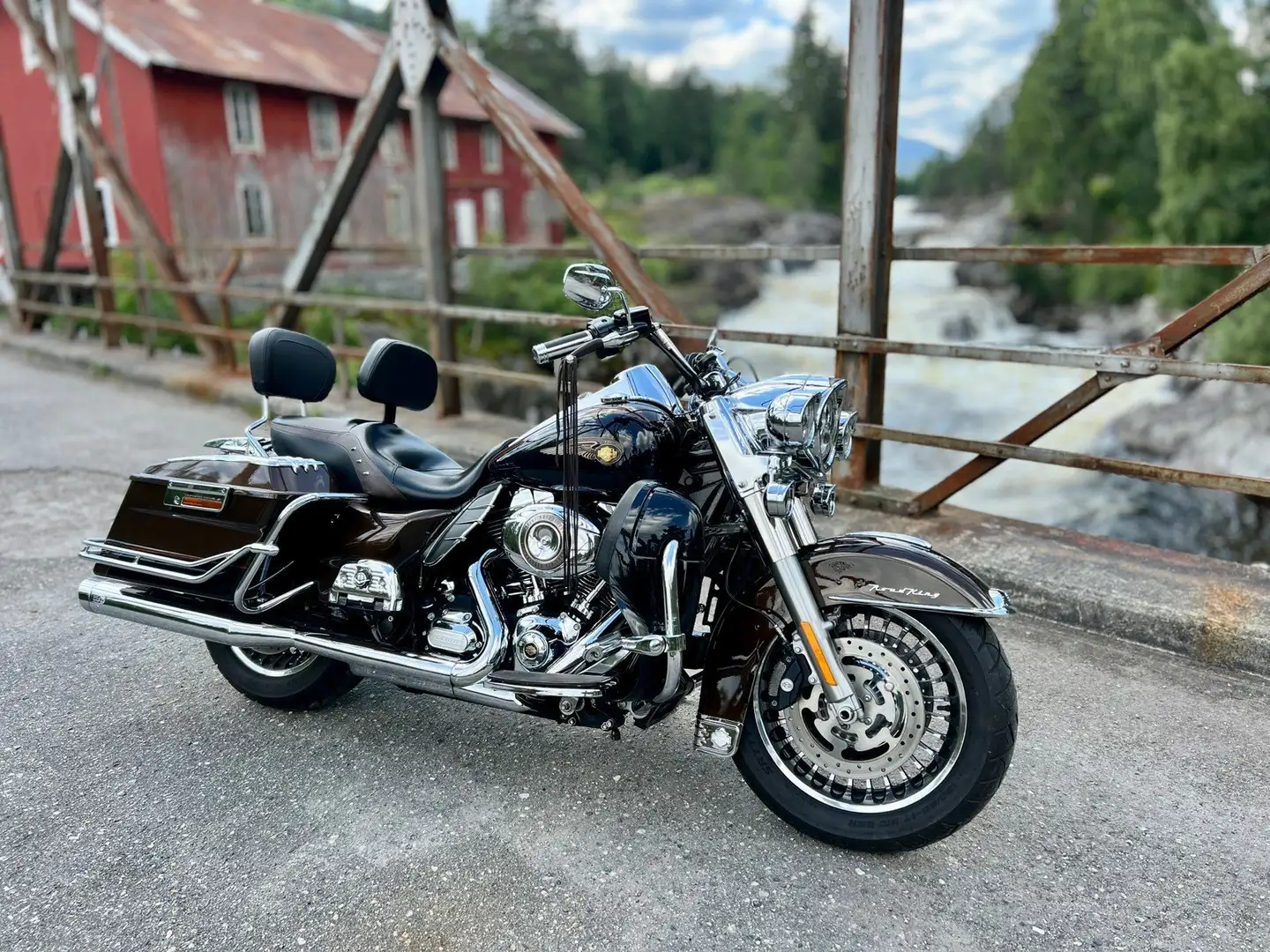 Harley-Davidson Road King 110th Anniversary Brun - 1