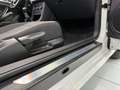 Volkswagen Beetle Cabrio 2.0TDI Design 81kW Weiß - thumbnail 10
