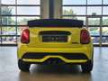 MINI Cooper S Cabrio COOPER S CABRIO CLASSIC TRIM LEDER NAV H&K HUD Gelb - thumbnail 6