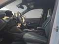 Peugeot 2008 Allure / Automatik Weiß - thumbnail 11