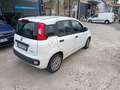 Fiat Panda Panda  1.0 firefly hybrid s Blanc - thumbnail 5
