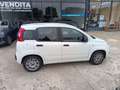 Fiat Panda Panda  1.0 firefly hybrid s Blanc - thumbnail 6