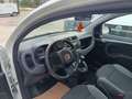 Fiat Panda Panda  1.0 firefly hybrid s Blanc - thumbnail 9