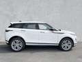 Land Rover Range Rover Evoque D165 DYNAMIC SE 20 PELLE Bianco - thumbnail 6
