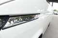 Volkswagen T6 California Beach Camper Edition*ACC*Cam*STDHZ Weiß - thumbnail 25