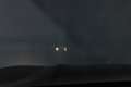 BMW X3 M Negro - thumbnail 29