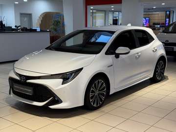 Hybrid Team D / Einparkhilfe / Kamera / Sitzheizun