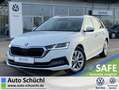 Skoda Octavia Combi 2.0 TDI DSG Style AHK+17"+NAVI-COL Weiß - thumbnail 1