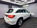 Mercedes-Benz GLC 250 d 4Matic AMG|AUTOM|NAVI|LEDER|LED|KAMERA Weiß - thumbnail 4