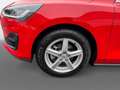 Ford Focus Turnier 1,0 EcoBoost Hybrid Titanium Rot - thumbnail 14