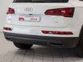 Audi Q5 2.0TDI Advanced 110kW Bianco - thumbnail 16