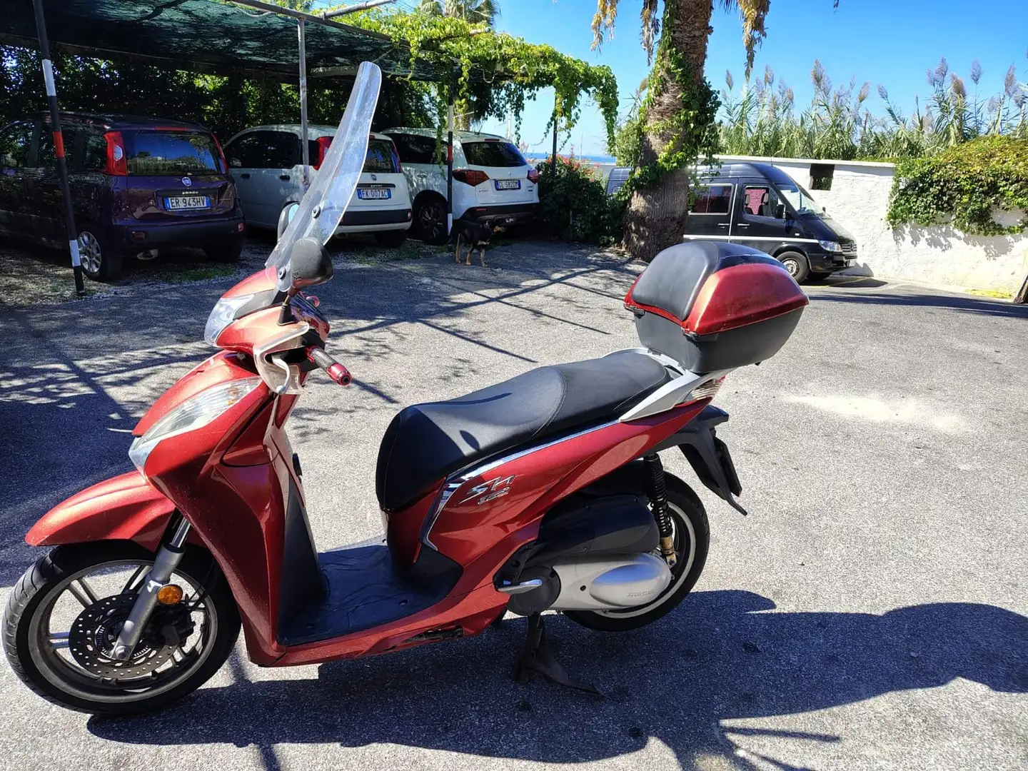 Honda SH 300 Rosso - 1