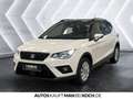 SEAT Arona Style BEATS 1.0 TSI DSG SHZ KAMERA NAVI APPL Blanc - thumbnail 2