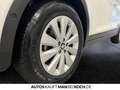 SEAT Arona Style BEATS 1.0 TSI DSG BEATS KAMERA NAVI AP Weiß - thumbnail 15