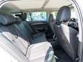 Skoda Octavia Combi Selection 2,0TDI DSG Pano 360° AHK Silber - thumbnail 8