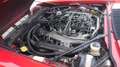 Jaguar XJS V12 Rot - thumbnail 6