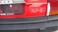Jaguar XJS V12 Rot - thumbnail 9